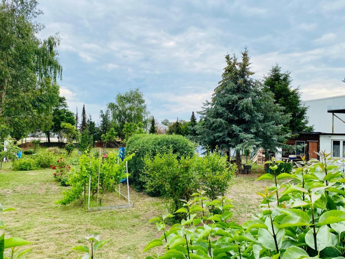 Pension Florion Бернбург Екстер'єр фото